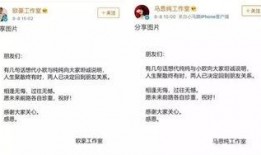娱乐吃瓜700分,揭秘700分背后的娱乐圈风云