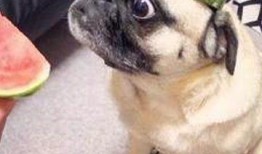 娱乐吃瓜宝宝,揭秘娱乐圈那些不为人知的幕后故事