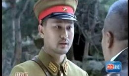 打狗棍电视剧70集,传奇家族的荣耀与挑战