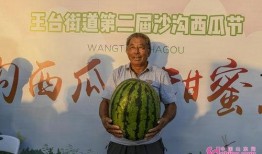 大瓜吃娱乐,揭秘娱乐圈最新热点事件