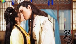 双世宠妃类似的电视剧