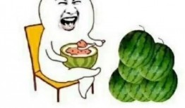 郑州吃瓜娱乐,揭秘城市生活趣味瞬间