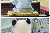 做一回娱乐圈吃瓜群众,揭秘明星幕后故事，做一回吃瓜群众！