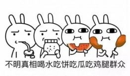 吃瓜群众含义,网络时代的旁观者与评论家